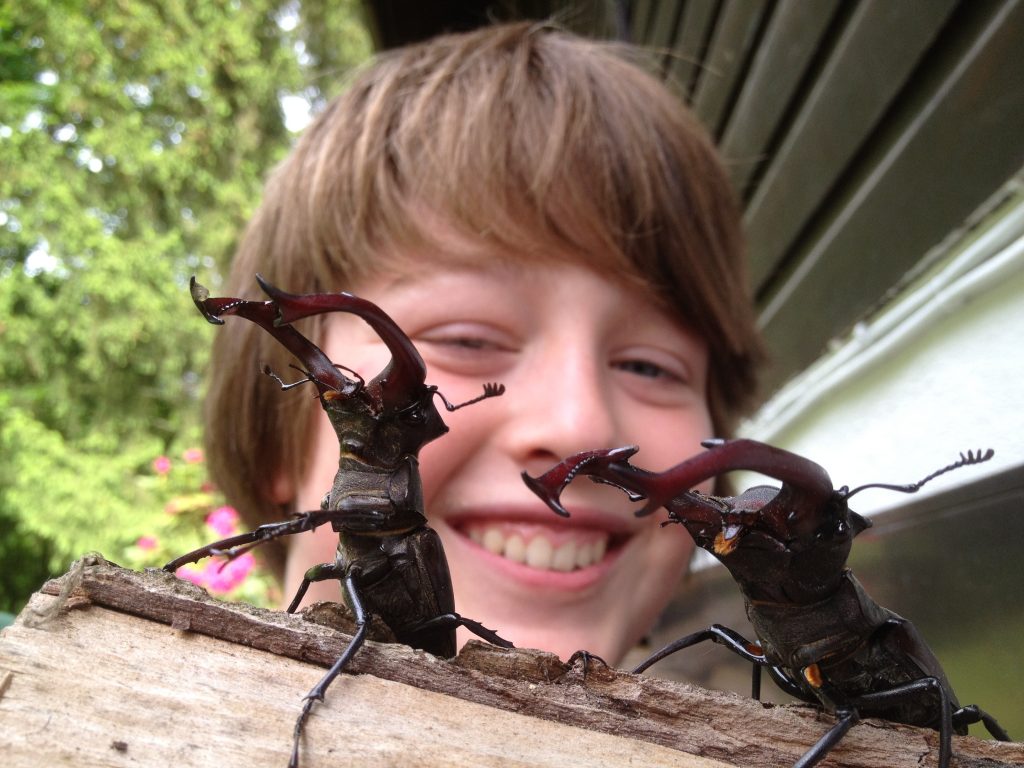Ferienhaus im Wald mit Hund mieten | Ferienhaus Natur