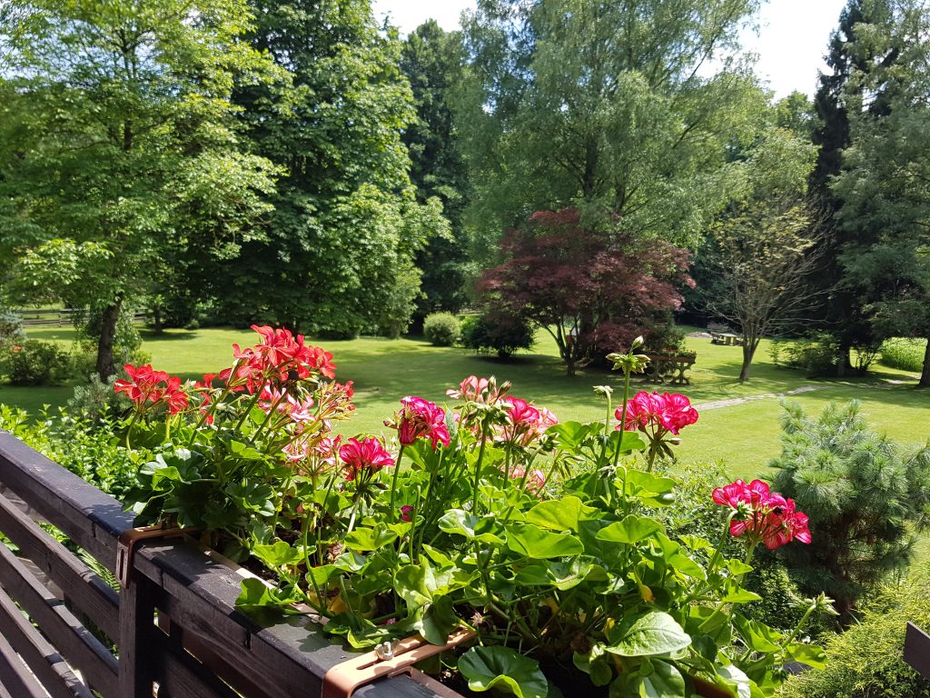 Ferienhaus im Wald mit Hund mieten | Ferienhaus Natur