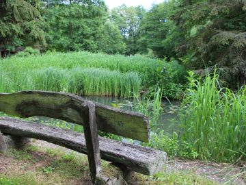Ferienhaus Naturliebe Am Karpfenteich