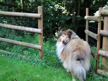 Durchgang zum Bach Horloff