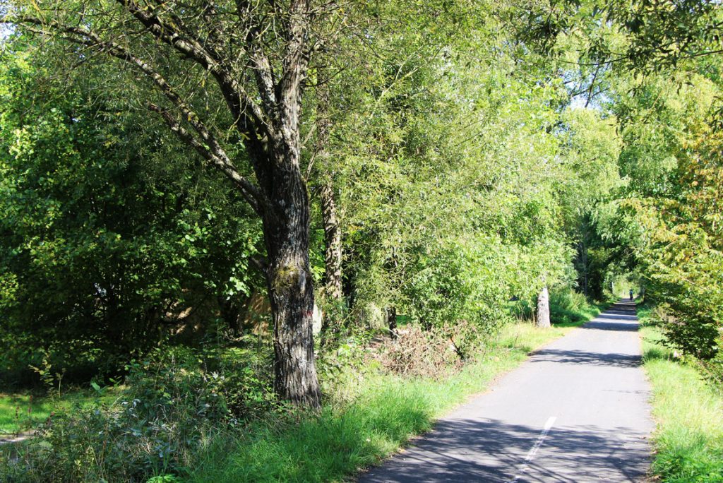 Urlaub mit dem Fahrrad im Vogelsberg, Fahrradurlaub auf Bahnlinien in Deutschland Vogelsberg, Hessen