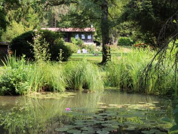 ferienhaus wald, ferienhaus natur