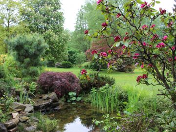 Ferienhaus in der Natur am Wald Wasserkaskaden & Goldfische