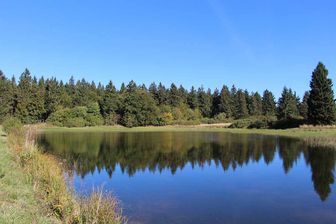 Wanderung zu Forellenteichen am Hoherodskopf