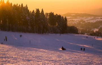 Rodeln und Skifahren am Hoherodskopf