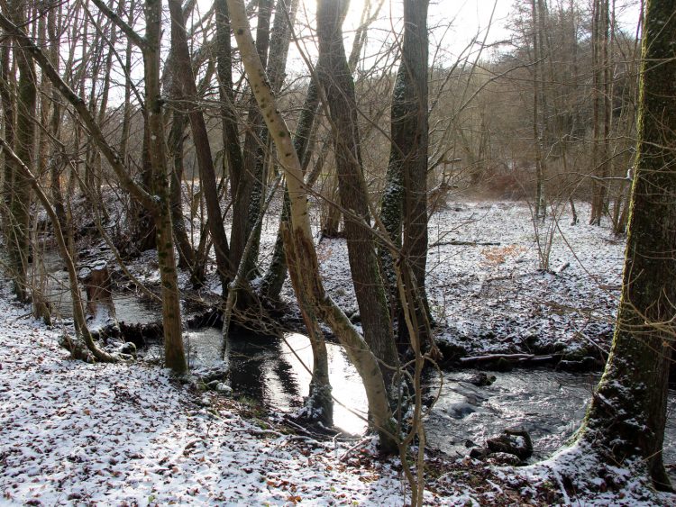 Horloff im Winter in Gonterskirchen, Laubach, Vogelsberg