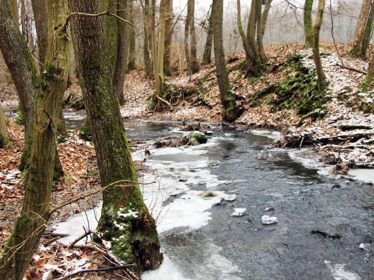 Horloff im Winter in Gonterskirchen in Vogelsberg