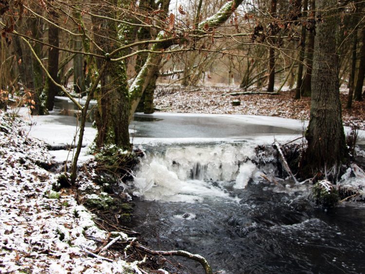 Horloff im Winter in Gonterskirchen, Laubach, Vogelsberg