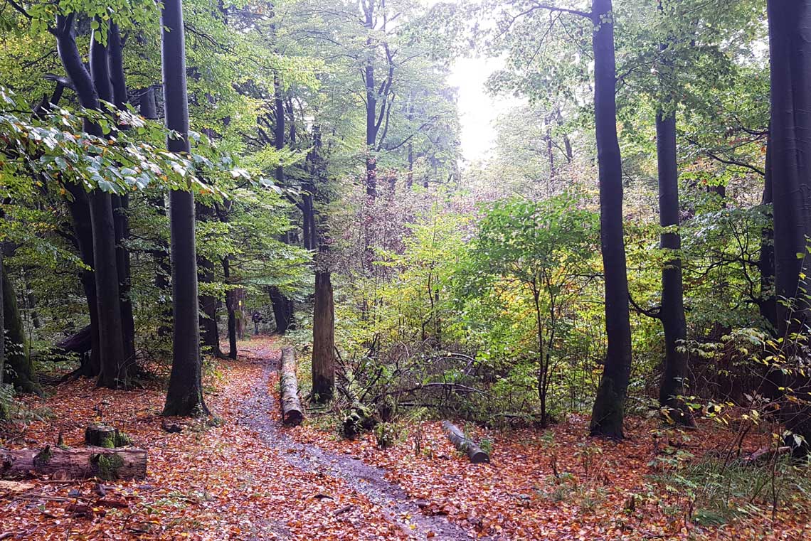 Wanderung Gipfeltour Schotten