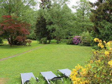 Natur genießen im Ferienhaus Naturliebe