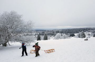 Rodeln auf Hoherodskopf im Vogelsberg Hessen