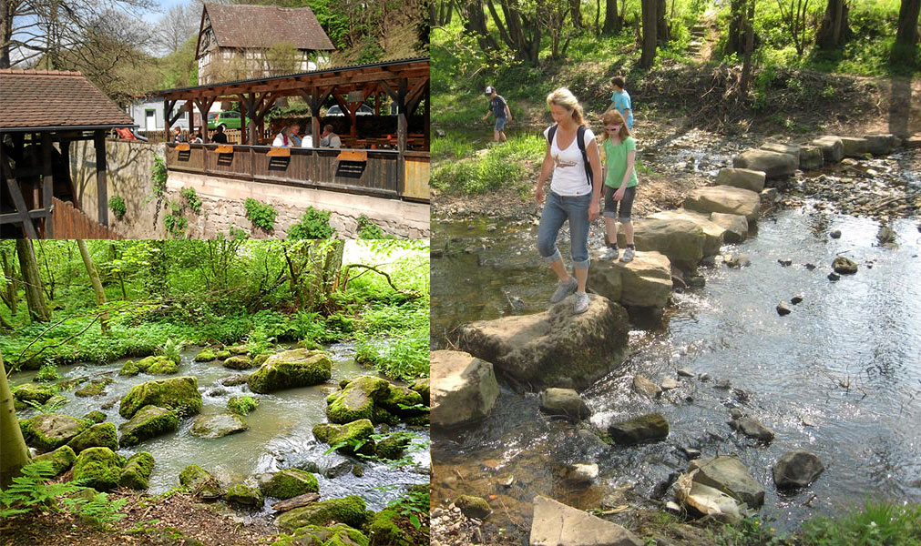 Schächerbachtour  im Vogelsberg Wandern Vogelsberg, Wandern in Hessen, Wanderwege Vogelsberg