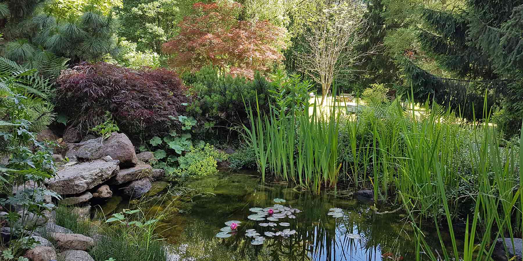 Ferienhaus Naturliebe Ferienhaus mit Hund, Natururlaub