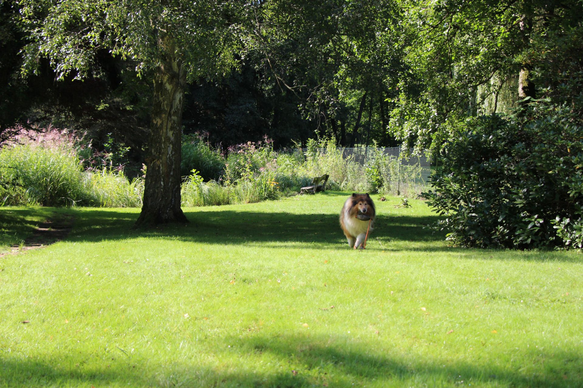 Urlaub Hund Ferienhaus eingezäunt Alleinlage